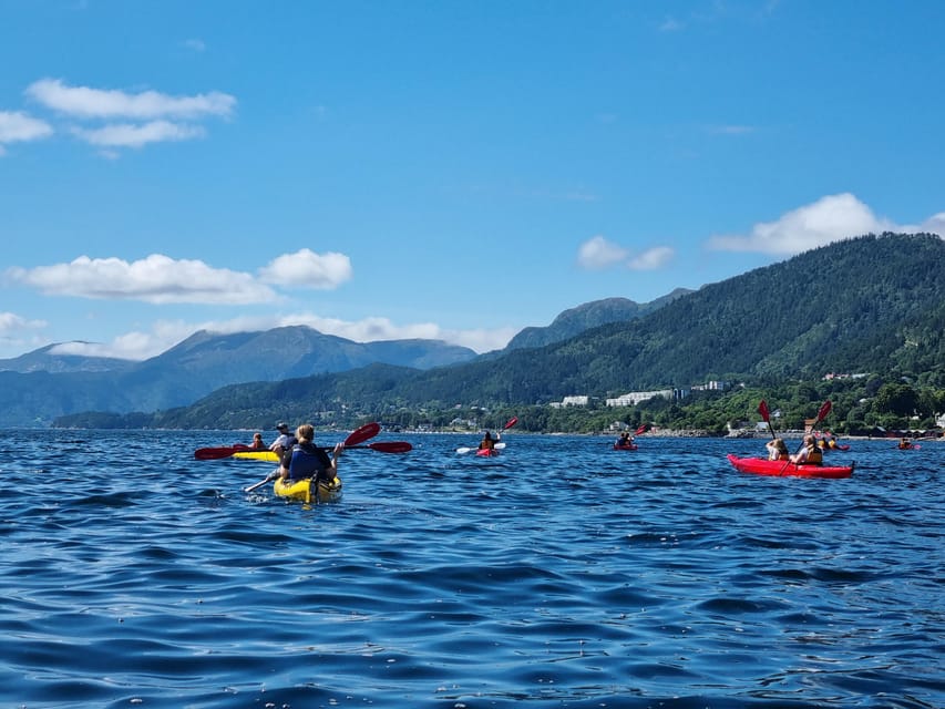 Molde - Guided kayak tour - The 3-hour paddle plan: pace, photo stops, and turning points