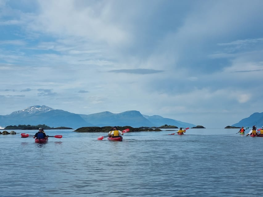 Molde - Guided kayak tour - What the guides add, including Antonin’s clear explanations