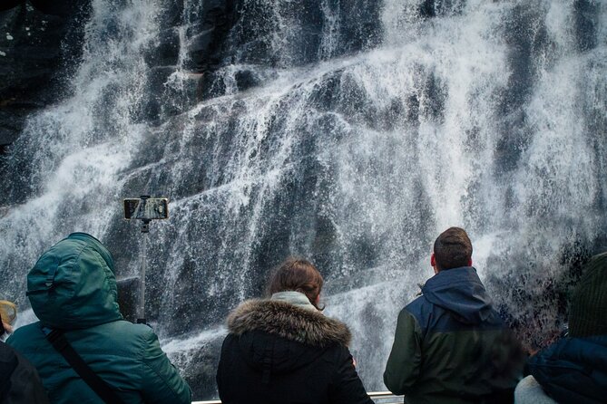 Mostraumen Fjord Cruise - the local operator - Price and Value: Is About $80 Worth It?