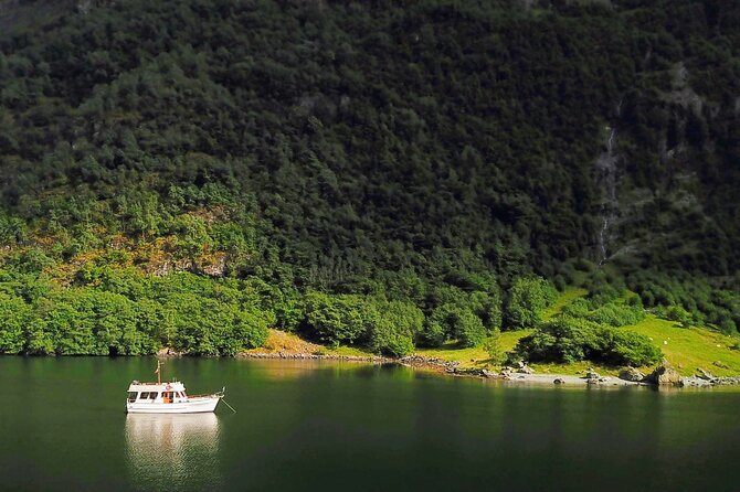 Mostraumen Private Pontoon Cruise - Key highlights to know before you go