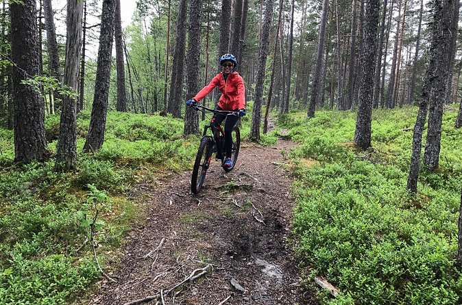 Mountain Bike - Voss Forest - Bikes and Gear: High-Quality Stuff That Lets You Ride, Not Repair