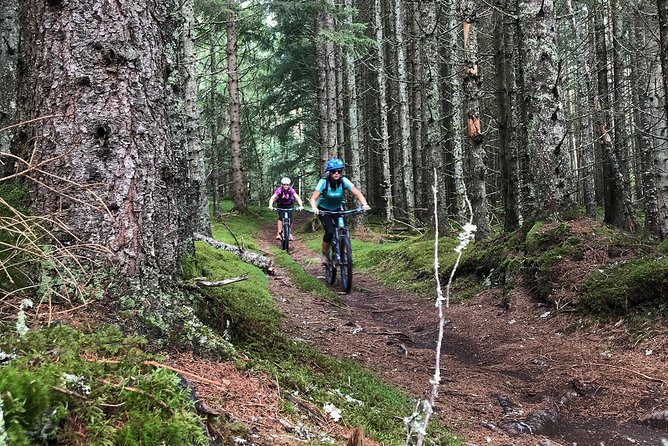Mountain Bike - Voss Forest - When This Tour Makes the Most Sense for You