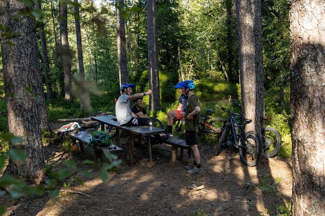 Mountain Bike - Voss Storålsen - My call: should you book Mountain Bike - Voss Storålsen?