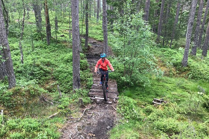 Mountain Bike - Voss Storålsen - What the trail feels like: berms, rollers, small jumps, and root work