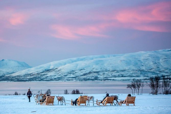 Night Reindeer Sledding with Camp Dinner and Chance of Northern Lights - What to wear in Tromso for a night of reindeer and firelight
