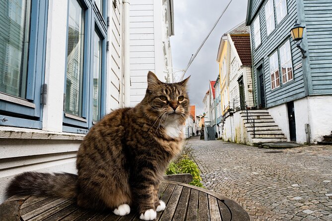 Nordnes: The Hidden Gem of Bergen Walking Tour - Strandgaten: where the merchant story starts, then the tour slips away from the crowd