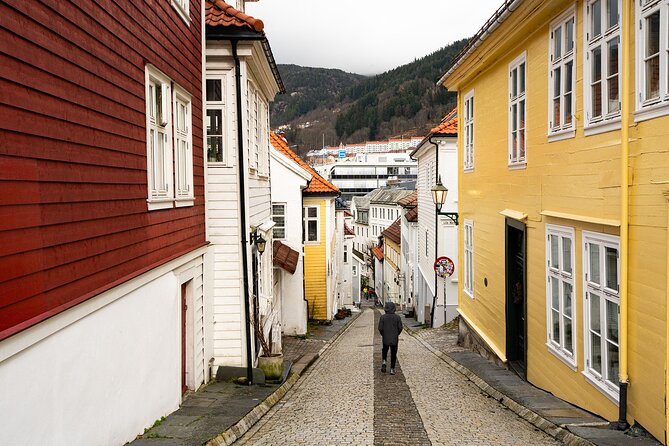 Nordnes: The Hidden Gem of Bergen Walking Tour - Meeting at Østre Murallmenningen and finishing at Den blå steinen