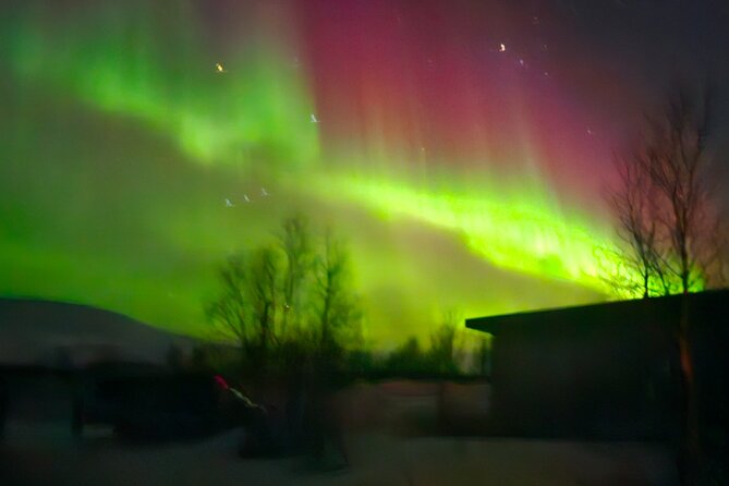 Northern Light Chase Tour - Price and value: what about $191.14 buys you in the cold
