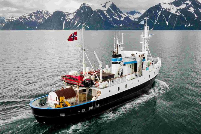 Northern Light cruise on the vintage vessel MS Strønstad - Boarding the Ship: Open-Wheelhouse Access and What It Means