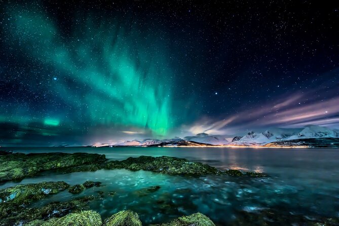 Northern light hunt in Tromsø. WiFi included - Key things to know before you go