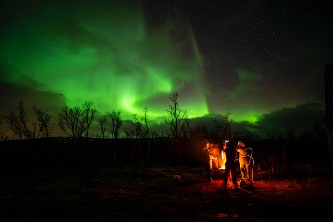 Northern light hunt in Tromsø. WiFi included - Mercedes Sprinter chasing, with WiFi and small-group comfort