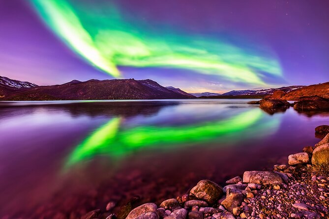 Northern light hunt in Tromsø. WiFi included - When the sky is cloudy or wind changes the plan