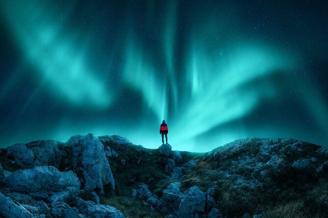 Northern light hunt in Tromsø. WiFi included - The warm food plan, soup options, snacks, and the bonfire reality