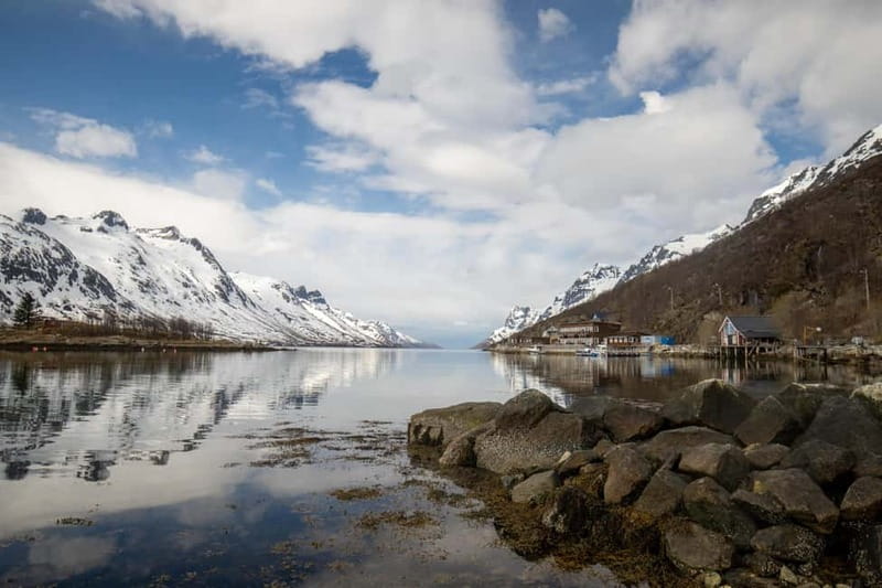 Northern Lights Adventure in Tromsø with Free Photos - The Long Secret Stop: Photo Chances, Guided Talk, and When the Fire Starts