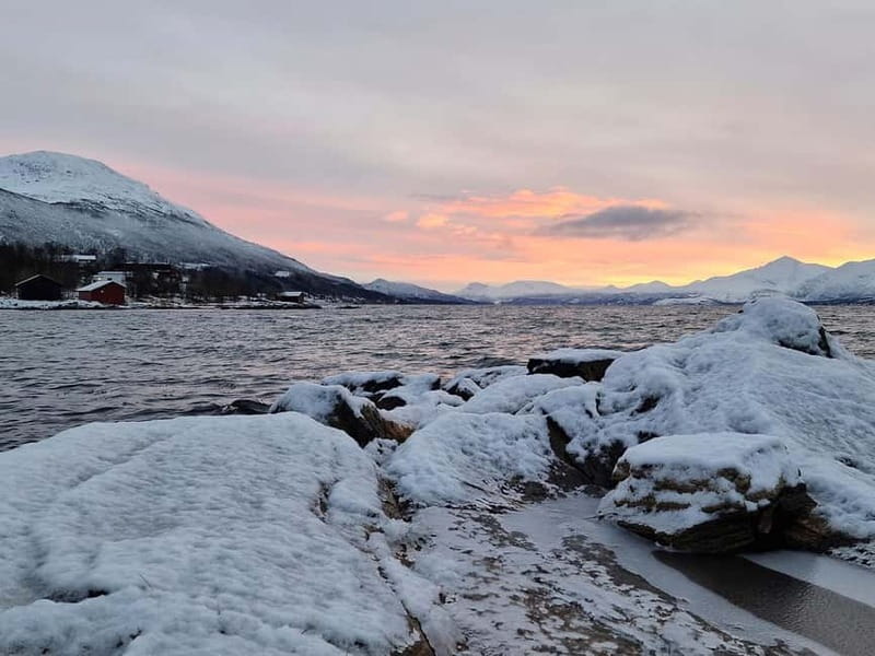 Northern Lights Adventure in Tromsø with Free Photos - Who This Tour Fits Best, and Who Might Be Happier Elsewhere