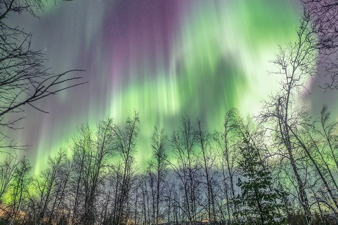 Northern Lights Adventure with Greenlander, 8 people max - What makes this Northern Lights tour feel different in Tromsø