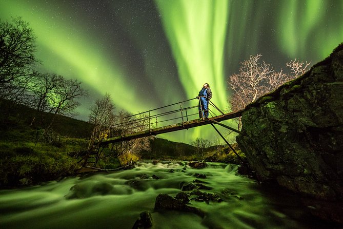 Northern Lights Adventure with Greenlander, 8 people max - Why the off-road style vehicle matters for real aurora viewing