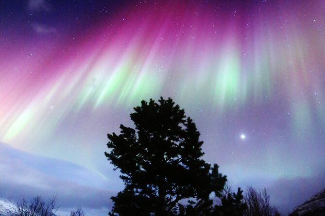 Northern Lights Big Bus Chase with Free Photos - Key Highlights You Should Know Before You Go