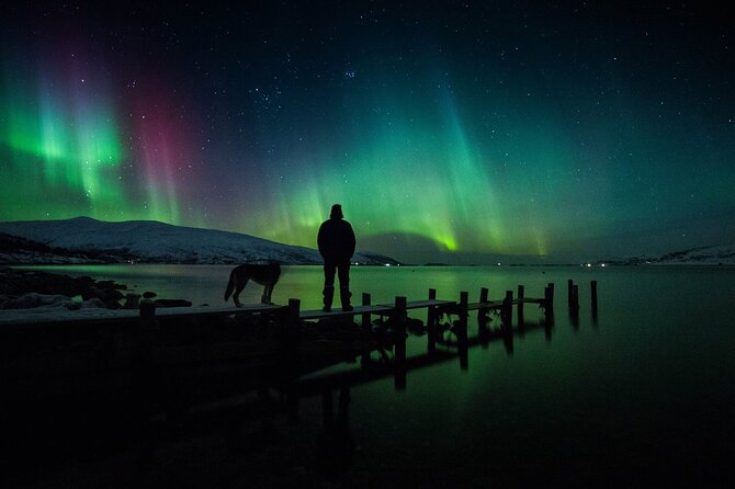 Northern Lights Big Bus Chase with Free Photos - Fire Pits, Hot Drinks, and the Night-Friendly Food Touches
