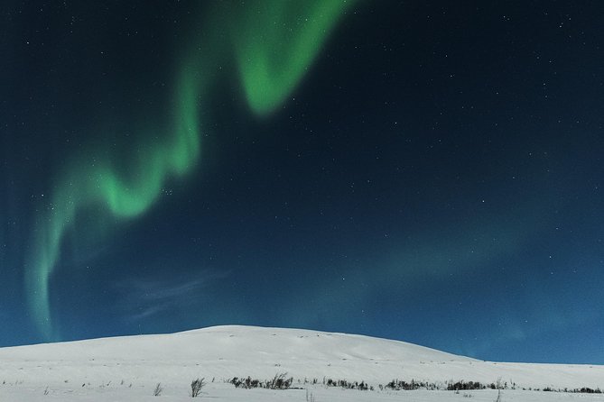 Northern lights cable car excursion - Food and drinks: coffee and waffles are included, dinner is not the same