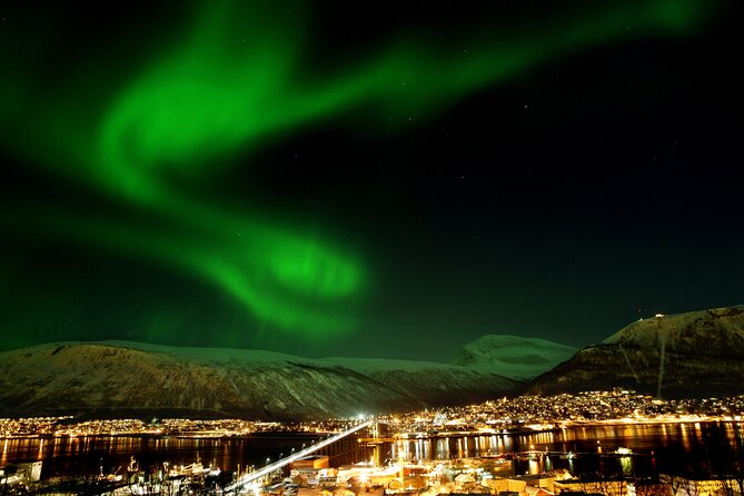 Northern Lights Chase by Bus in Tromso - Key highlights that matter