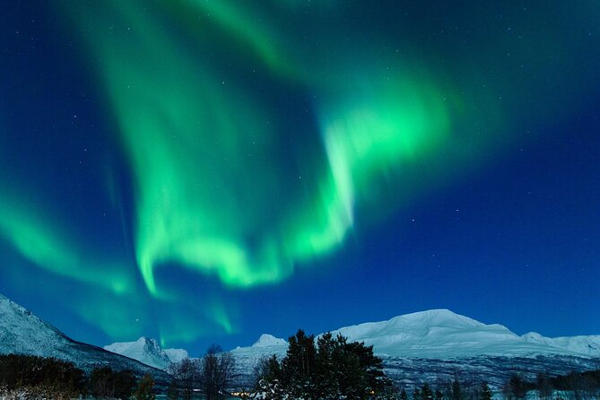 Northern Lights Chase by Bus in Tromso - How the guide actually chases the northern lights