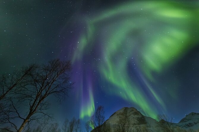 Northern Lights Chase by Bus in Tromso - Setting expectations: what you see vs what photos show
