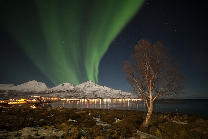Northern Lights Chase by Bus in Tromso - The reality of a big bus: crowding, speaking up, and photo bottlenecks