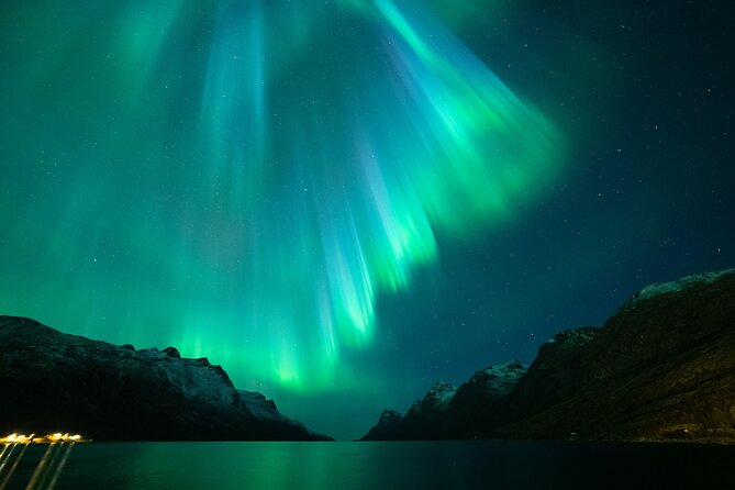 Northern Lights Chase by Bus in Tromso - The bus ride out of the city: comfort, coffee, and light-pollution logic