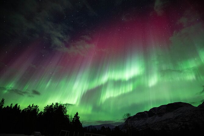 Northern Lights Chase with Authentic North Norwegian Charm - What Happens After You Stop: Gear, Warmth, and a Guide with Stories