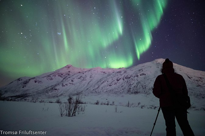 Northern Lights Chase with Authentic North Norwegian Charm - Photography Support That Goes Beyond Hand-Waving
