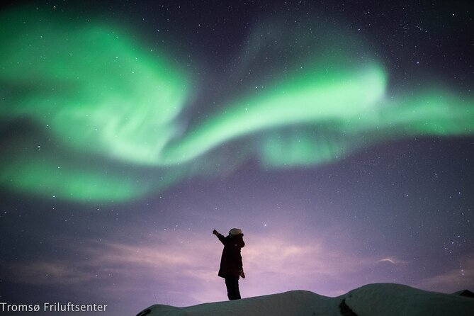 Northern Lights Chase with Authentic North Norwegian Charm - Who This Tour Fits Best