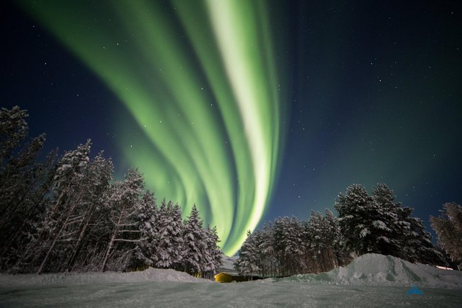 - Northern Lights Chase with Photo Package Included - Key things that make this Tromsø aurora chase worth your time