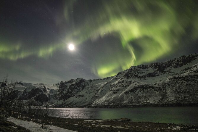 Northern Lights Chase with Photography from Tromsø - Tromsø Stop Time: Check-in, Briefing, and Reset Before the Hunt