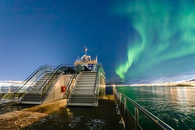 Northern Lights Cruise in Bodø - Key Points to Know Before You Go