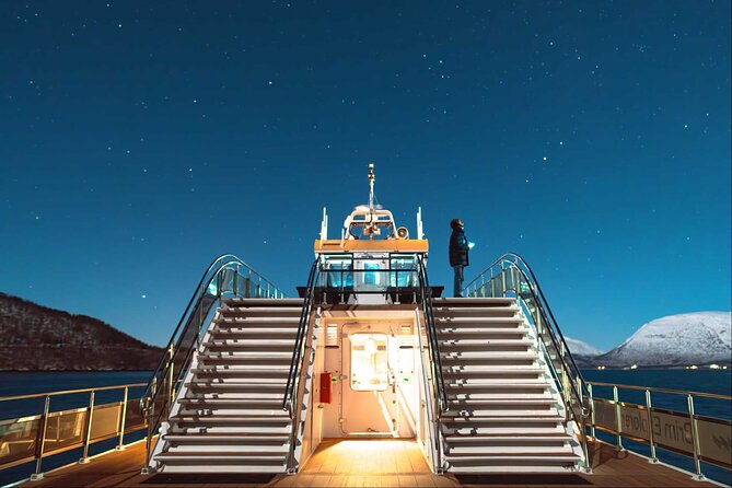 Northern Lights Cruise in Bodø - How the 3-Hour Cruise Works, from Boarding to Return