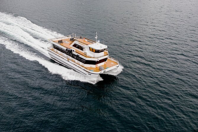 Northern Lights Cruise in Bodø - Inside Comfort, Wi-Fi, and the Cafe You Pay For