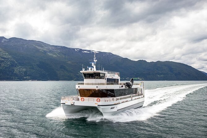 Northern Lights Cruise in Bodø - Who This Northern Lights Cruise Fits Best