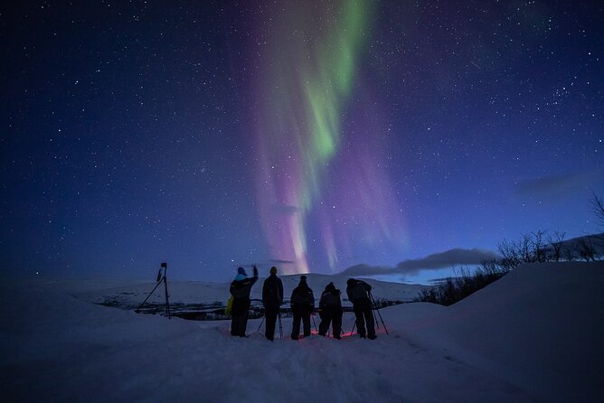 Northern Lights Expedition Tromsø - 6 people - Arctic Photo Guide - Stop 1 Tromsø: How the Aurora Chase Actually Gets Planned