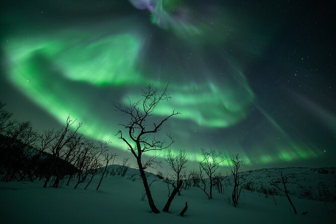 Northern Lights Expedition Tromsø - 6 people - Arctic Photo Guide - Meeting Point and Drop-Off: The Practical Start and Finish