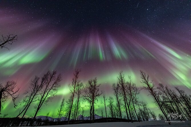 Northern Lights Guided Bus Tour with Free Photos - The bus ride is more than a ride