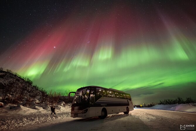 Northern Lights Guided Bus Tour with Free Photos - Viewing stops: what you should expect from an aurora hunt