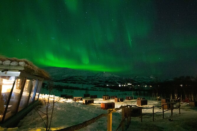 Northern Lights Husky Visit - Aurora Borealis watch: what a fixed camp really means