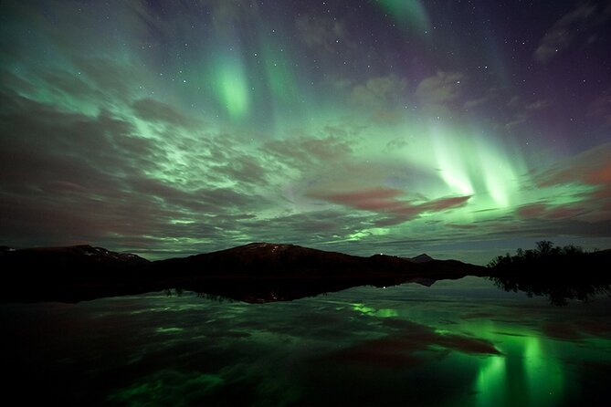 Northern Lights Husky Visit - Dinner in a Gamme-hut: bacalao by the open fire