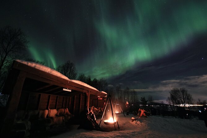 Northern Lights Husky Visit - Husky kennel time is the heart of the evening