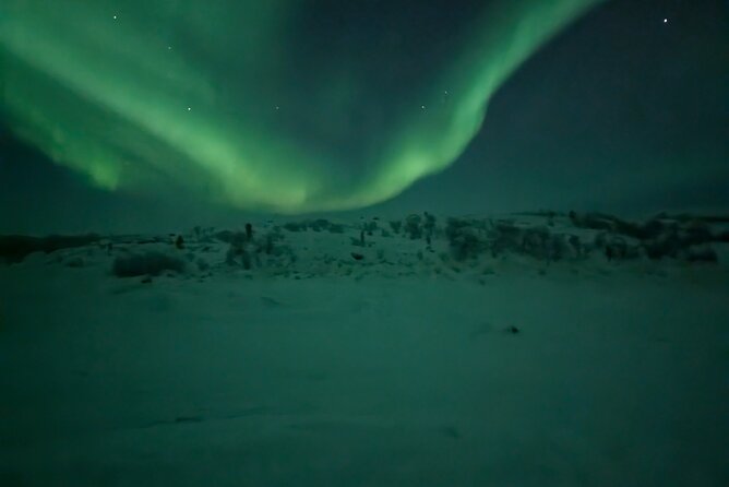 Northern Lights Minibus Chase Max 16 Person In Group - Alta’s 8:00 pm start, and why timing matters