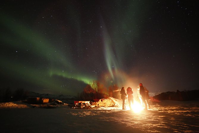 Northern lights photography tour - Fjords, Mountains, and Islands: Why You Drive Instead of Waiting