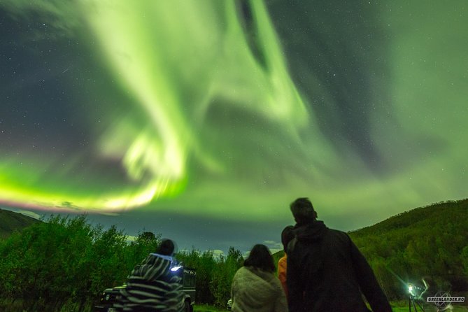 Northern Lights Private tour with your special ones - Greenlander - Tromsø’s private Northern Lights chase: why this format feels different