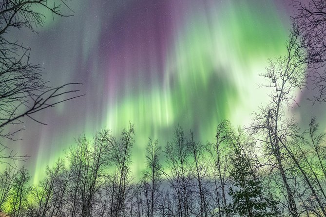Northern Lights Private tour with your special ones - Greenlander - Campfire warmth, dinner, and the rhythm of a long winter night