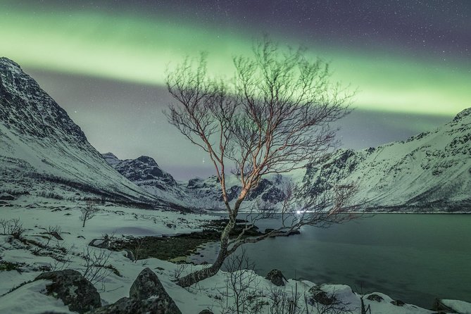Northern Lights Private tour with your special ones - Greenlander - 6:00 pm pickup and the first leg into the night